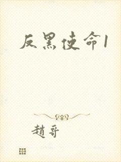 反黑使命1