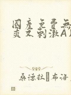 国产免费无码又爽又刺激A片小说