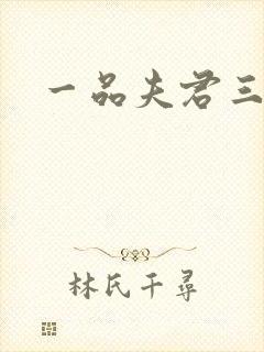 一品夫君三流妻