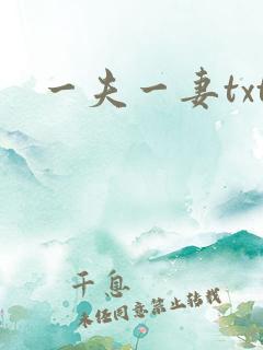 一夫一妻txt