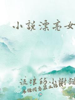 小说漂亮女局长