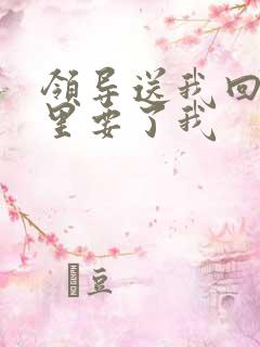 领导送我回家车里要了我