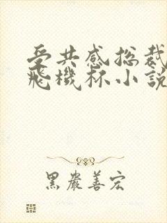 受共感总裁攻的飞机杯小说叫什么