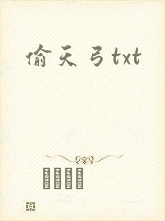 偷天弓txt
