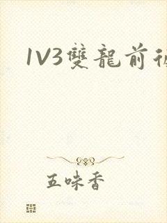 1V3双龙前后
