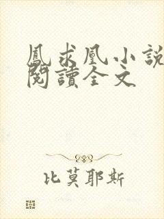 凤求凰小说免费阅读全文