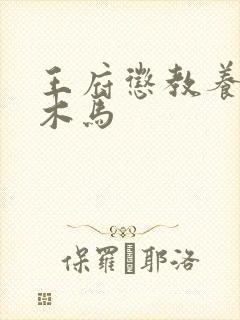 王府惩教养日常木马