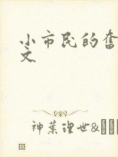 小市民的奋斗燃文