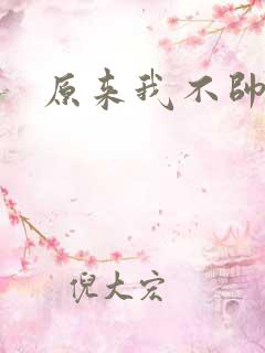原来我不帅小说