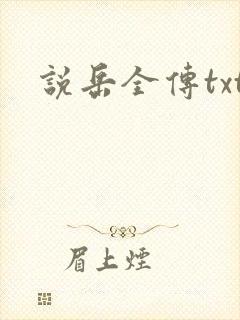 说岳全传txt