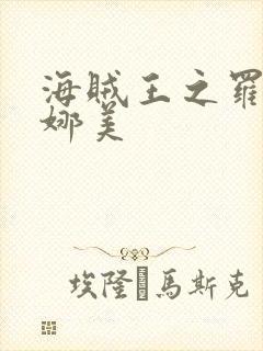 海贼王之罗宾h娜美