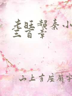 老旺超秦小雨第三百章