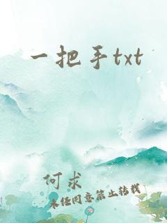 一把手txt