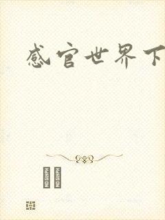 感官世界下载