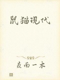 鼠猫现代