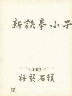新铁拳小子