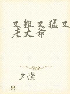 又粗又猛又大爽老大爷