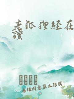 老狐狸经在线阅读