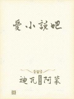 爱小说吧