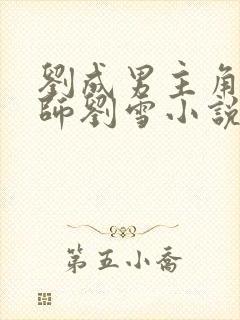 刘成男主角按摩师刘雪小说免费阅读