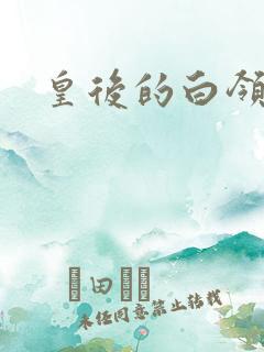 皇后的白领生活