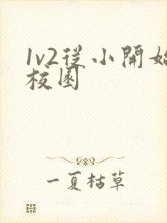 1v2从小开始校园