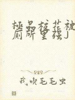 极品校花被拉到厕所里强J