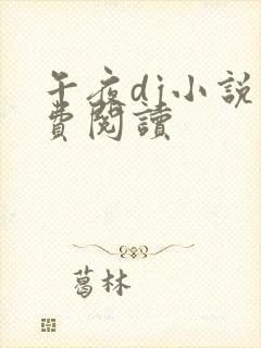 午夜dj小说免费阅读