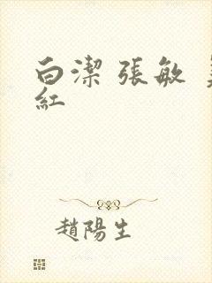 白洁 张敏 美红