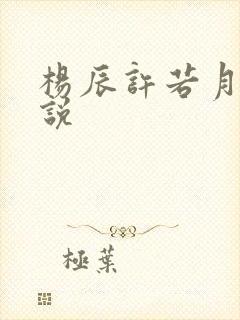 杨辰许若月的小说