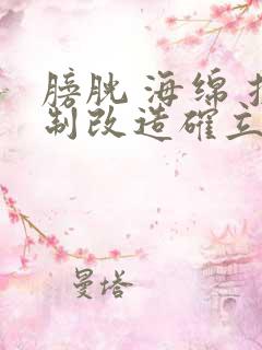 膀胱 海绵 控制改造确立m