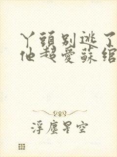 丫头别逃了教授他超爱苏绾谢宴宁