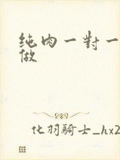 纯肉一对一到处做