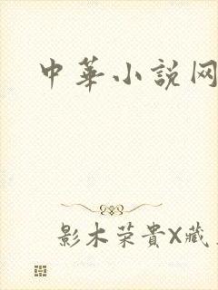 中华小说网
