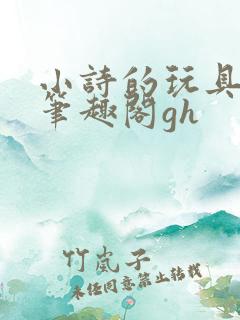 小诗的玩具日记笔趣阁gh