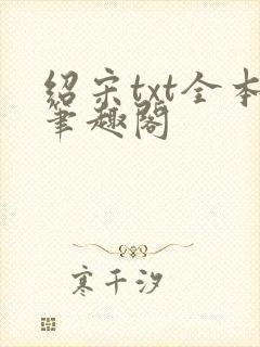 绍宋txt全本笔趣阁