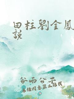 田柱刘金凤的小说
