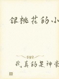 银桃花的小说
