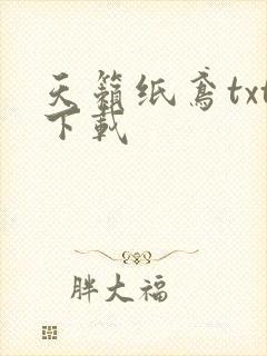 天籁纸鸢txt下载