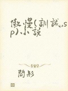 傲慢(训诫,sp)小说