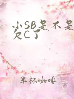 小SB是不是又欠C了