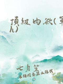 顶级肉欲(军高h)