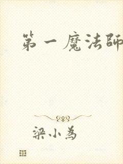 第一魔法师
