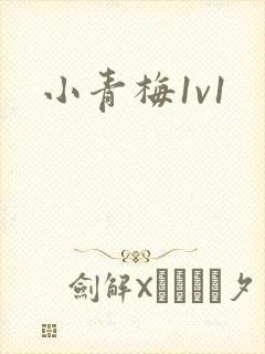 小青梅1v1