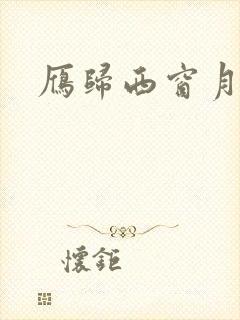 雁归西窗月小说