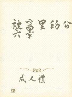 被窝里的公息第六章