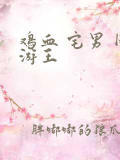 鸡血 宅男 网游王