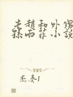 老赵和外甥媳妇孙雨菲小说