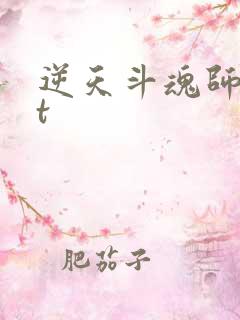 逆天斗魂师txt