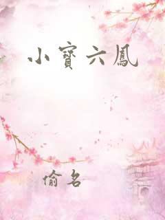 小宝六凤